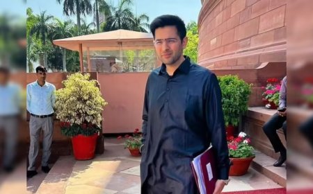 राजनीतिक आलोचना और पर्सनैलिटी राइट्स में अंतर: दिल्ली हाई कोर्ट ने राघव चड्ढा की याचिका पर सुनाया बड़ा फैसला।