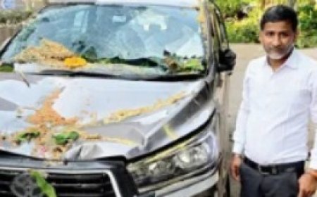 मुंबई में आंधी-तूफान के बीच चलती कैब पर गिरा विशालकाय पीपल का पेड़, बाल-बाल बची सवारियों की जान।