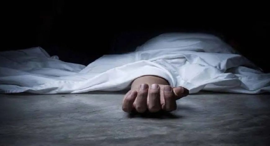 दिल्ली के डाबरी फ्लाईओवर पर भीषण हादसा- तेज रफ्तार कार ने डिलीवरी बॉय को मारी टक्कर, ऊंचाई से गिरने से हुई मौत