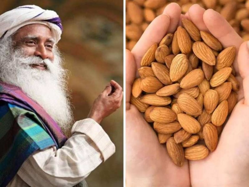 स्वास्थ्य और चेतना का संगम- सद्गुरु ने साझा किए बादाम के सेवन से जुड़े अनमोल स्वास्थ्य सूत्र