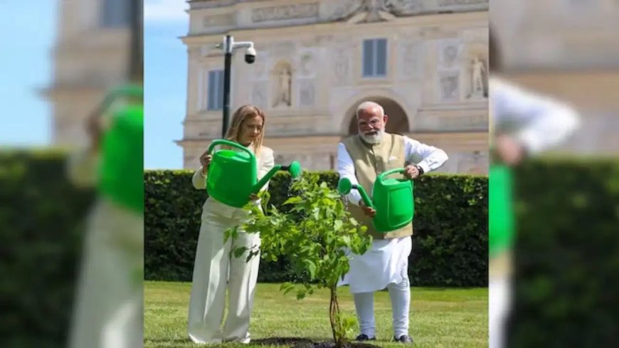 भारत-इटली कूटनीति का नया अध्याय: रोम में प्रधानमंत्री नरेंद्र मोदी और जॉर्जिया मेलोनी ने मिलकर रोपा दोस्ती का पौधा, तस्वीरें आईं सामने।