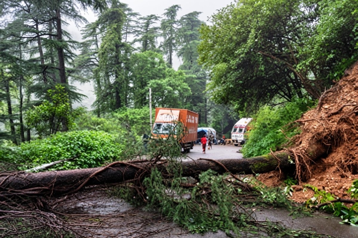 पहाड़ों पर आफत की बारिश: शिमला में होटलों और पार्किंग में गिरे भारी-भरकम पेड़, मलबे की चपेट में आए कई घर और गाड़ियां!