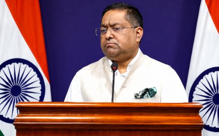 "पासपोर्ट नागरिकता का सबूत नहीं..." विदेश मंत्रालय ने 1967 के कानून और हाई कोर्ट के फैसले का दिया हवाला, चौंकाए आंकड़े