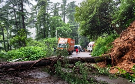 पहाड़ों पर आफत की बारिश: शिमला में होटलों और पार्किंग में गिरे भारी-भरकम पेड़, मलबे की चपेट में आए कई घर और गाड़ियां!
