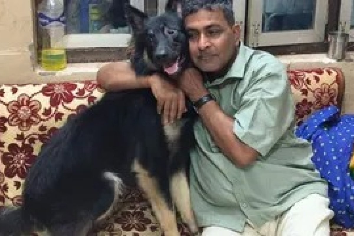 Kushinagar Dog Birthday Party: कुशीनगर में पालतू कुत्ते के जन्मदिन पर ग्रैंड सेलिब्रेशन, 700 मेहमानों को दिया शाही भोज