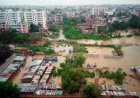 Assam Gujarat Flood Updates: असम और गुजरात में जलप्रलय, 10 लाख से अधिक लोग प्रभावित, ट्रेनें रद्द और स्कूल बंद