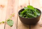 Van Tulsi Benefits: बीमारियों से निजात दिलाने में असरदार है वन तुलसी, जानें औषधीय फायदे और सही इस्तेमाल