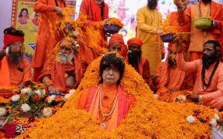 Sanatan Dharma in Japan: हरिद्वार में निरंजनी अखाड़े के महामंडलेश्वर बनेंगे जापान के छह संत, सनातन का बढ़ेगा मान