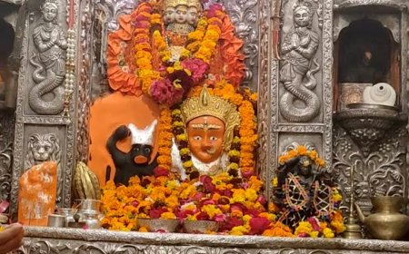 Haridwar Mansa Devi Temple News: मां मनसा देवी मंदिर में बिना जेब के कुर्ते पहनेंगे पुजारी, चढ़ावे के लिए बनी 7 सदस्यीय कमेटी