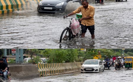 Delhi-Noida Rain Update: दिल्ली-नोएडा में मूसलाधार बारिश से सड़कों पर समंदर, राजघाट समेत कई इलाकों में भारी जलभराव