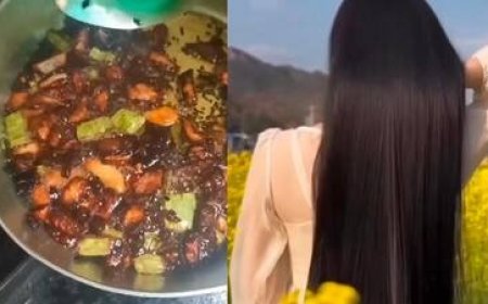 Curry Leaves Oil for Hair Growth: बालों का झड़ना रोकने और नए बाल उगाने के लिए घर पर ऐसे बनाएं करी पत्ते का तेल