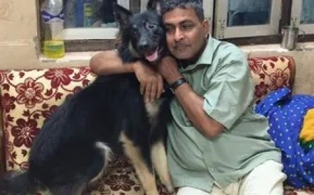 Kushinagar Dog Birthday Party: कुशीनगर में पालतू कुत्ते के जन्मदिन पर ग्रैंड सेलिब्रेशन, 700 मेहमानों को दिया शाही भोज