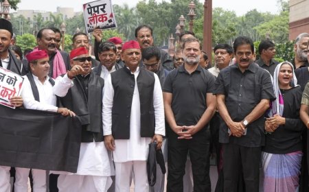 Parliament Monsoon Session: काले कपड़ों में कांग्रेस का प्रदर्शन, राहुल की मांगों पर धर्मेंद्र प्रधान का पलटवार