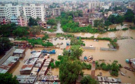 Assam Gujarat Flood Updates: असम और गुजरात में जलप्रलय, 10 लाख से अधिक लोग प्रभावित, ट्रेनें रद्द और स्कूल बंद