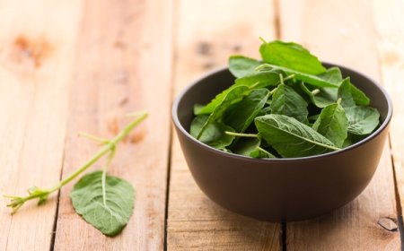 Van Tulsi Benefits: बीमारियों से निजात दिलाने में असरदार है वन तुलसी, जानें औषधीय फायदे और सही इस्तेमाल