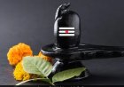 घर में बार-बार हो रहा झगड़ा? शिवलिंग पर चढ़ाएं यह एक खास पत्ता, पंडित सुरेश पांडे ने बताया धार्मिक उपाय