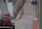 Jabalpur Elderly Mother Son Assault: जबलपुर में बेटे ने बुजुर्ग मां को पीटा, पुलिस पहुंची तो मां बोली- कार्रवाई मत करो