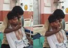 Hardoi Snake Bite Case: हरदोई में सांप के डसने से बिगड़ी युवक की हालत, भाई ने थप्पड़ मारकर जगाए रखा; डॉक्टरों ने 15 एंटी-वेनम देकर बचाई जान