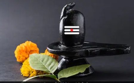 घर में बार-बार हो रहा झगड़ा? शिवलिंग पर चढ़ाएं यह एक खास पत्ता, पंडित सुरेश पांडे ने बताया धार्मिक उपाय