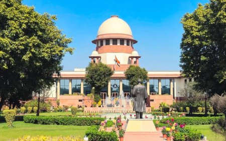 Supreme Court Ruling On Number Plate: नंबर प्लेट ढंकना अपराध नहीं, सुप्रीम कोर्ट ने रद्द की FIR और पुलिस को दी सख्त हिदायत
