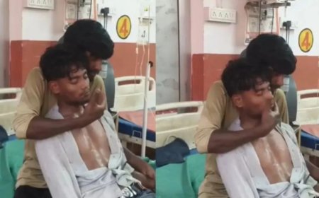 Hardoi Snake Bite Case: हरदोई में सांप के डसने से बिगड़ी युवक की हालत, भाई ने थप्पड़ मारकर जगाए रखा; डॉक्टरों ने 15 एंटी-वेनम देकर बचाई जान