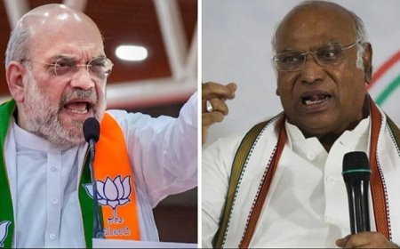 'जब मैं पहली बार विधायक बना, तब बच्चे थे अमित शाह': गोवा में बोले कांग्रेस अध्यक्ष मल्लिकार्जुन खड़गे, बीजेपी पर साधा निशाना 