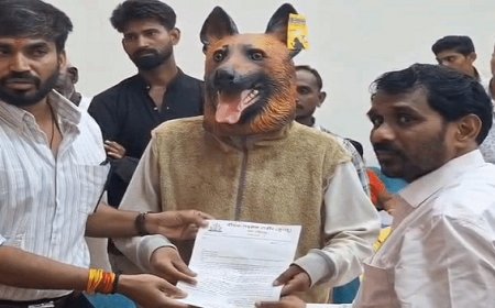 Khandwa Jansunwai: खंडवा जनसुनवाई में पहुंचा कुत्ता, नगर निगम के ₹40 लाख खर्च और 13 हजार डॉग बाइट पर उठे सवाल