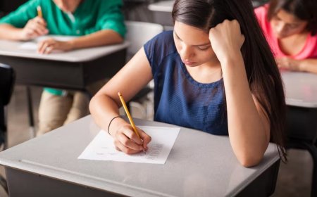 Bihar Board Exam 2027: बिहार बोर्ड ने शुरू की मैट्रिक-इंटर परीक्षा की तैयारी, मार्कशीट में बड़े बदलाव के साथ परीक्षा फॉर्म भरना शुरू