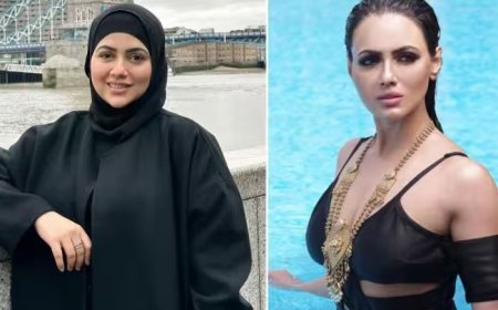 Actresses Left Bollywood At Peak: शोहरत और स्टारडम छोड़ अचानक सिनेमा से दूर हुईं ये 7 अभिनेत्रियां, शादी से लेकर धर्म तक बनी वजह