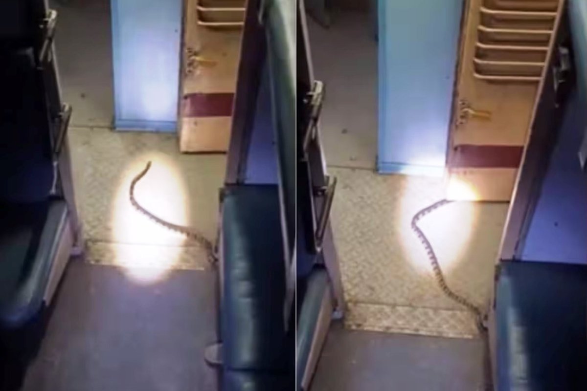 Indian Railway News: ट्रेन के स्लीपर कोच में साइड लोअर बर्थ के नीचे निकला लंबा सांप, रात में यात्रियों में मची चीख-पुकार