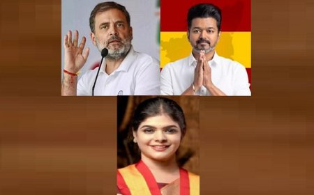 TVK MLA Statement: टीवीके विधायक का बड़ा बयान, 'राहुल गांधी ही विजय को बनाएंगे प्रधानमंत्री'