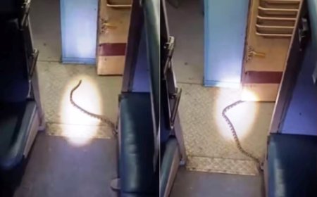 Indian Railway News: ट्रेन के स्लीपर कोच में साइड लोअर बर्थ के नीचे निकला लंबा सांप, रात में यात्रियों में मची चीख-पुकार