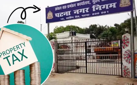 Patna Property Tax: पटना नगर निगम का बकायेदारों पर बड़ा एक्शन, जारी की टॉप टैक्सपेयर्स और डिफॉल्टर्स की लिस्ट