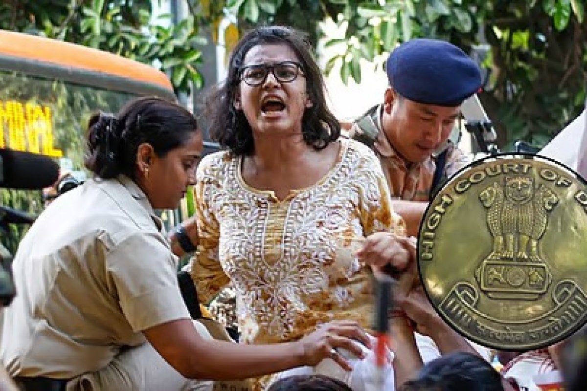 Neha Bora Case - आइसा अध्यक्ष नेहा बोरा को दिल्ली हाईकोर्ट से झटका, 10 हजार के पीस बॉन्ड वाले नोटिस पर दखल से इनकार