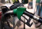 Fuel Price Stability - अंतरराष्ट्रीय बाजार में नरमी के बीच देश में पेट्रोल-डीजल के भाव स्थिर, जानिए दिल्ली से यूपी और महानगरों के ताजा रेट