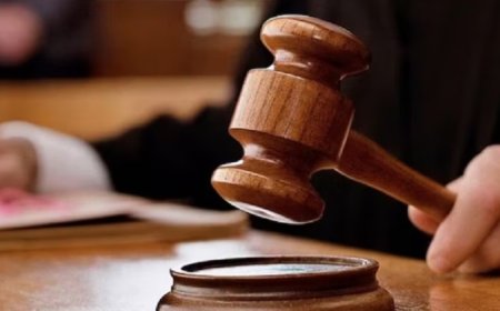Delhi Court Verdict: महिला से 'कौन से वाले पापा?' कहना उसकी गरिमा पर हमला, दिल्ली की अदालत ने आरोपी को ठहराया दोषी