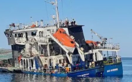 Black Sea Drone Attack: ब्लैक सी में ड्रोन हमले के बाद डूबा तुर्किये का मालवाहक जहाज, 3 भारतीयों समेत सभी 11 क्रू मेंबर्स सुरक्षित