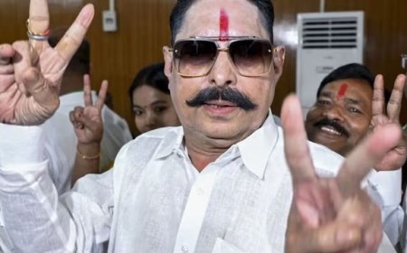 Bihar Politics - जदयू से निष्कासन के बाद बोले अनंत सिंह, 'नीतीश के साथ था और रहूंगा, पार्टी 12 सीटों पर सिमटेगी'
