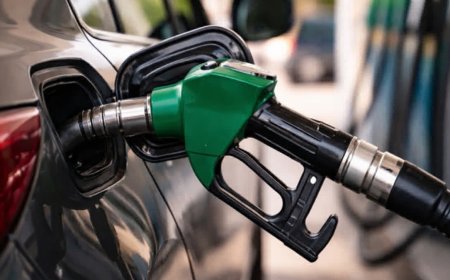 Fuel Price Stability - अंतरराष्ट्रीय बाजार में नरमी के बीच देश में पेट्रोल-डीजल के भाव स्थिर, जानिए दिल्ली से यूपी और महानगरों के ताजा रेट