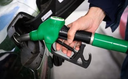 Petrol-Diesel Price Today - 31 अक्टूबर को जारी हुए पेट्रोल-डीजल के नए रेट्स, जानिए दिल्ली से मुंबई और पटना तक की ताजा कीमतें