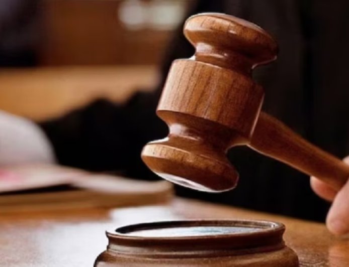 Delhi Court Verdict: महिला से 'कौन से वाले पापा?' कहना उसकी गरिमा पर हमला, दिल्ली की अदालत ने आरोपी को ठहराया दोषी